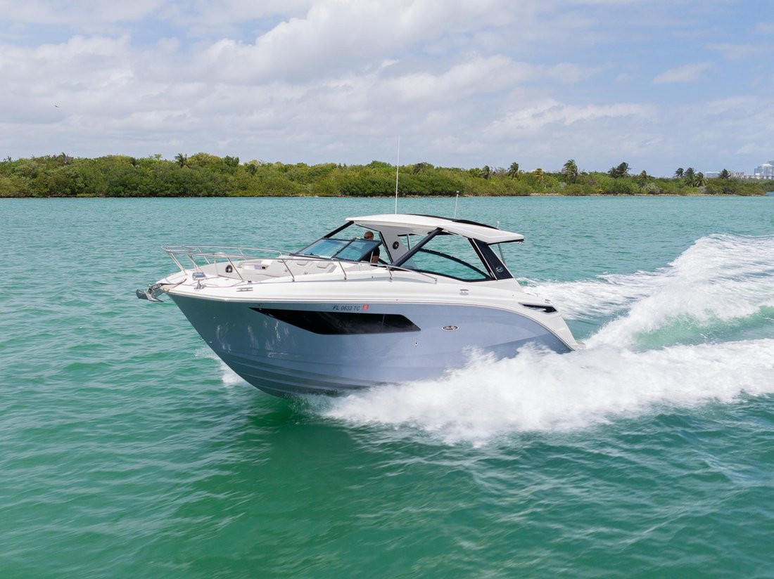 Cruiser in United States 5 - 14097019