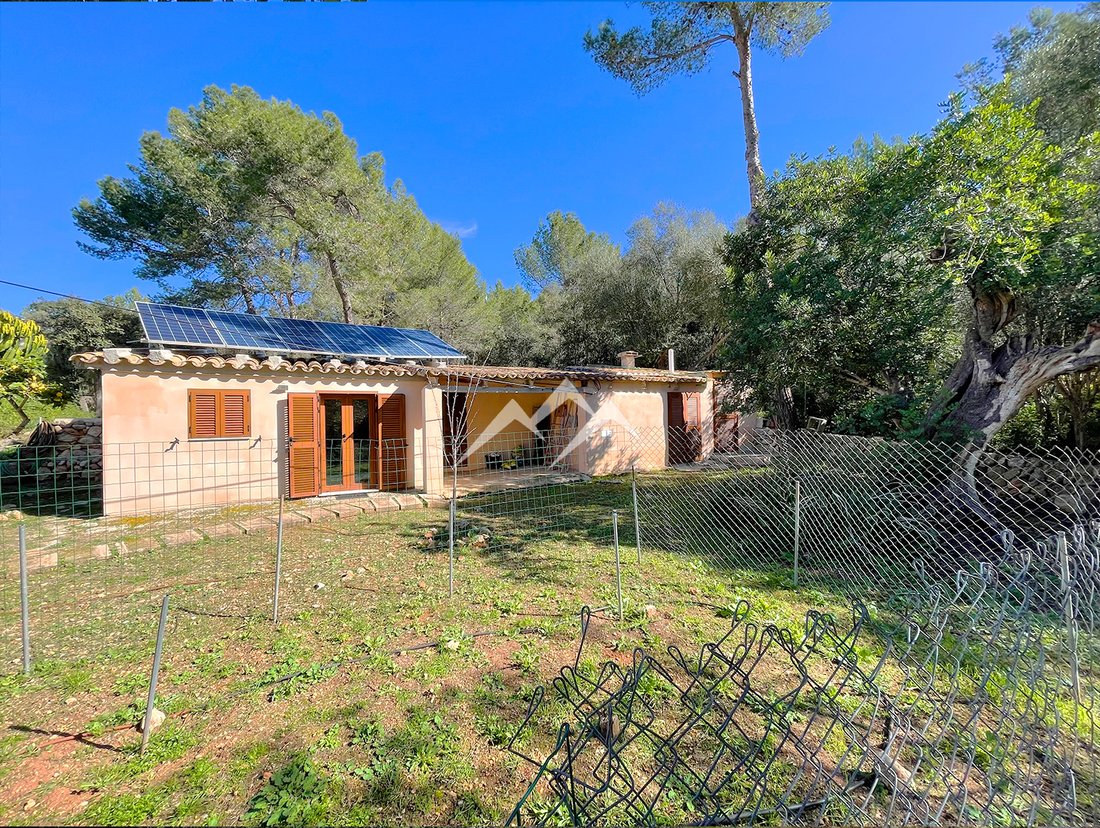 Finca in es Capdella, Calvia, Balearic Islands 5 - 14100713