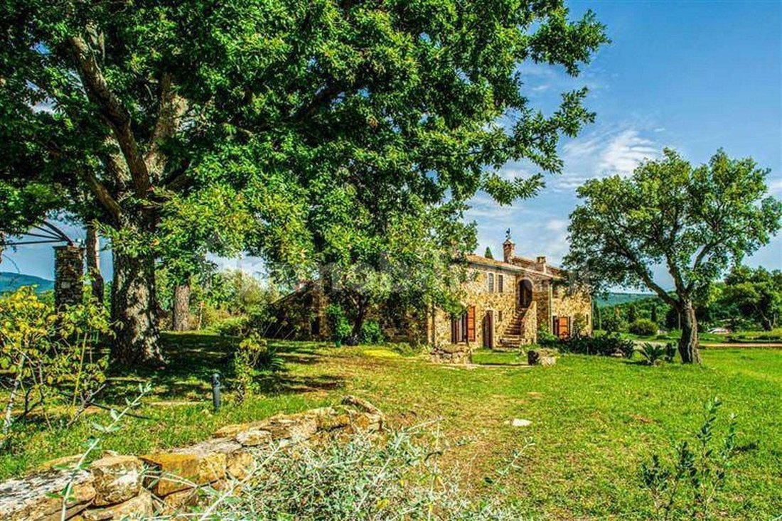 Massa Marittima, Tuscany, Italy 5 - 14101424
