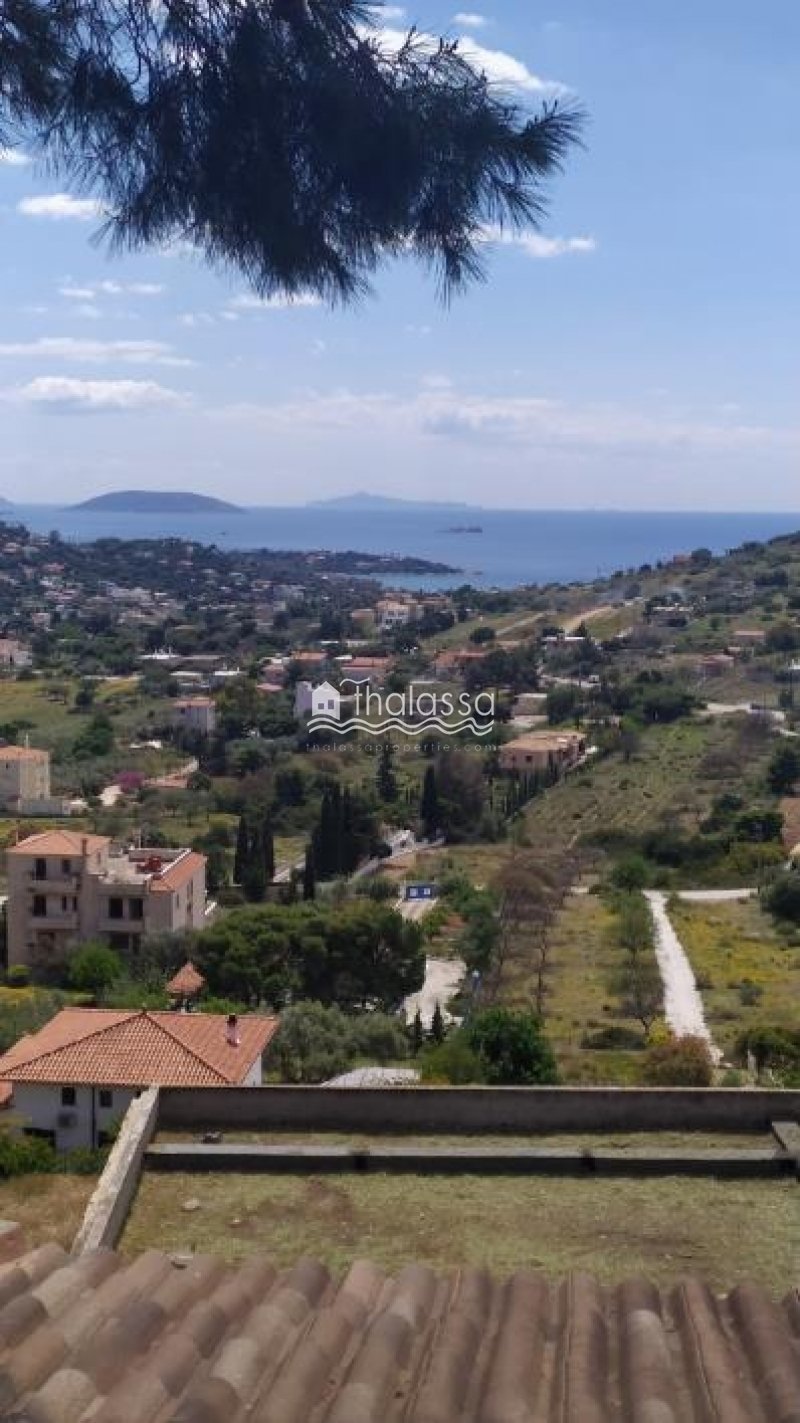 Kropia, Attica, Greece 4 - 14102405