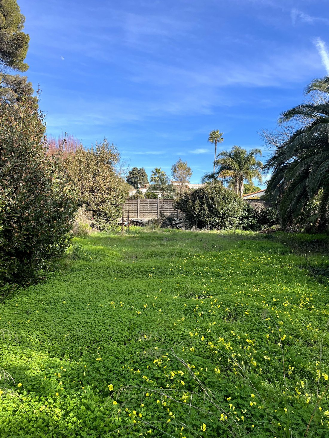 Villa in Antibes, Provence-Alpes-Côte d'Azur, France 5 - 14105188