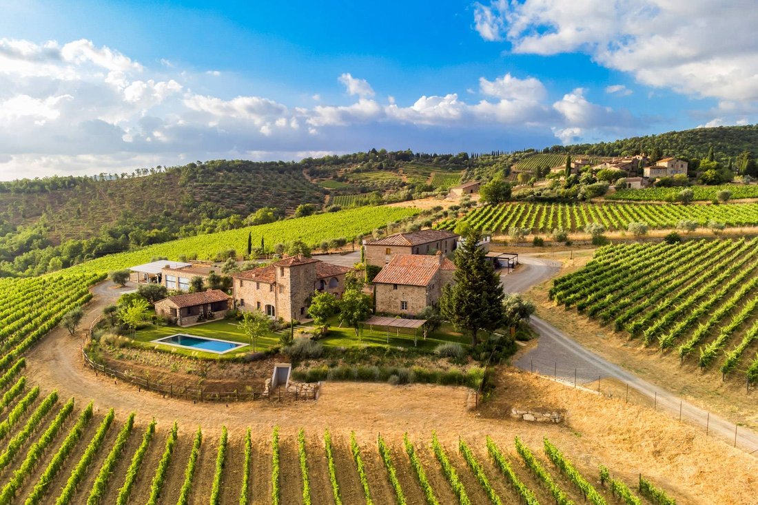 Chianti Classico vineyards in Tuscany