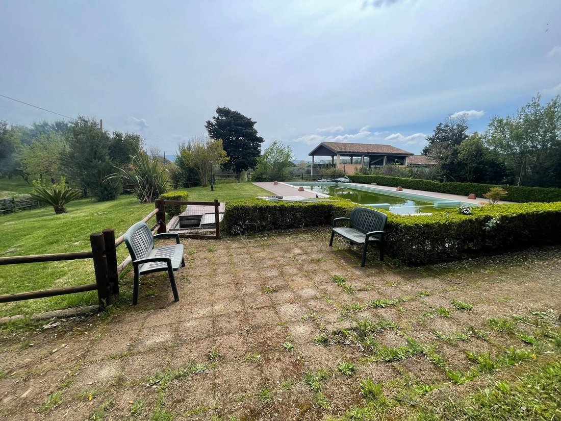 Grosseto, Tuscany, Italy 1 - 14106229