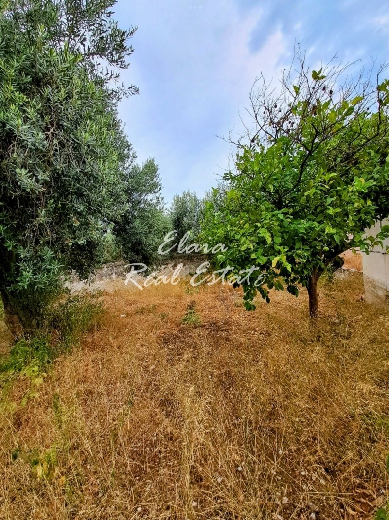 House in Spetses, Attica, Greece 5 - 14106048