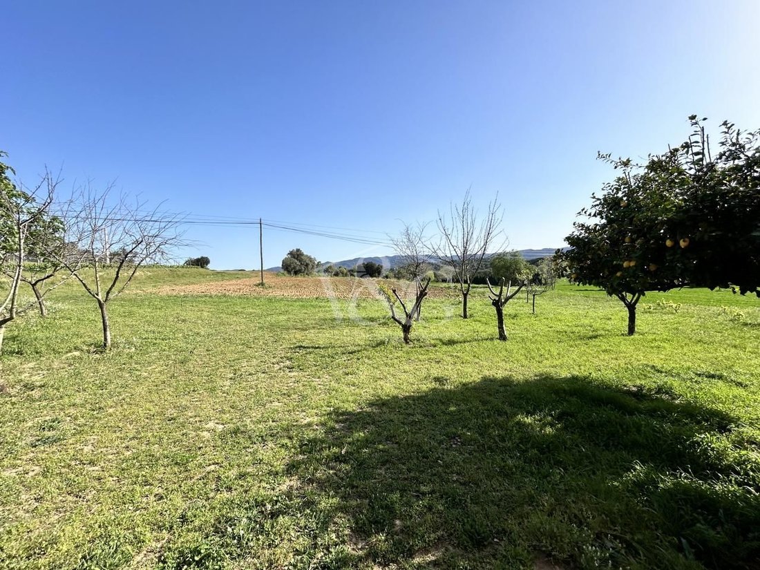Villa in Cruilles, Monells i Sant Sadurni de l'Heura, Catalonia, Spain 5 - 14108245
