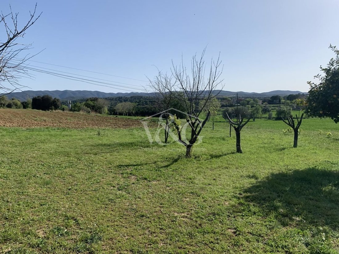 Villa in Cruilles, Monells i Sant Sadurni de l'Heura, Catalonia, Spain 4 - 14108245