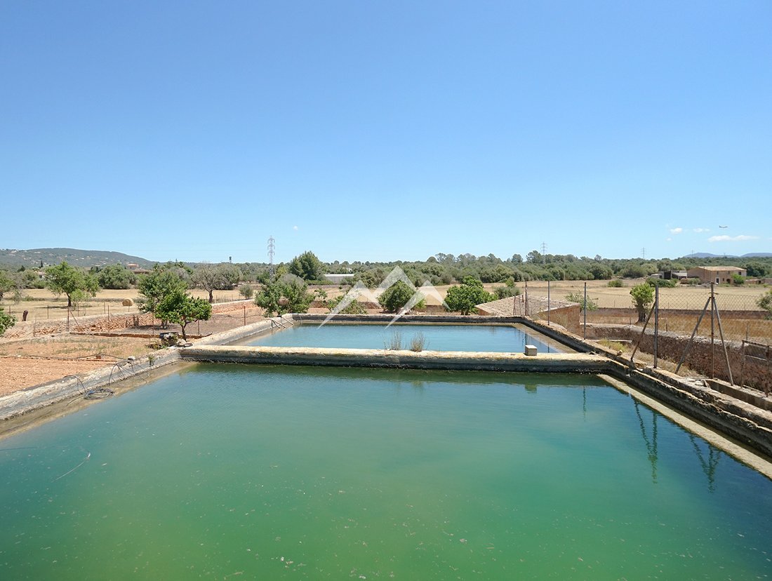 Finca in Palma, Balearic Islands, Spain 5 - 11707367
