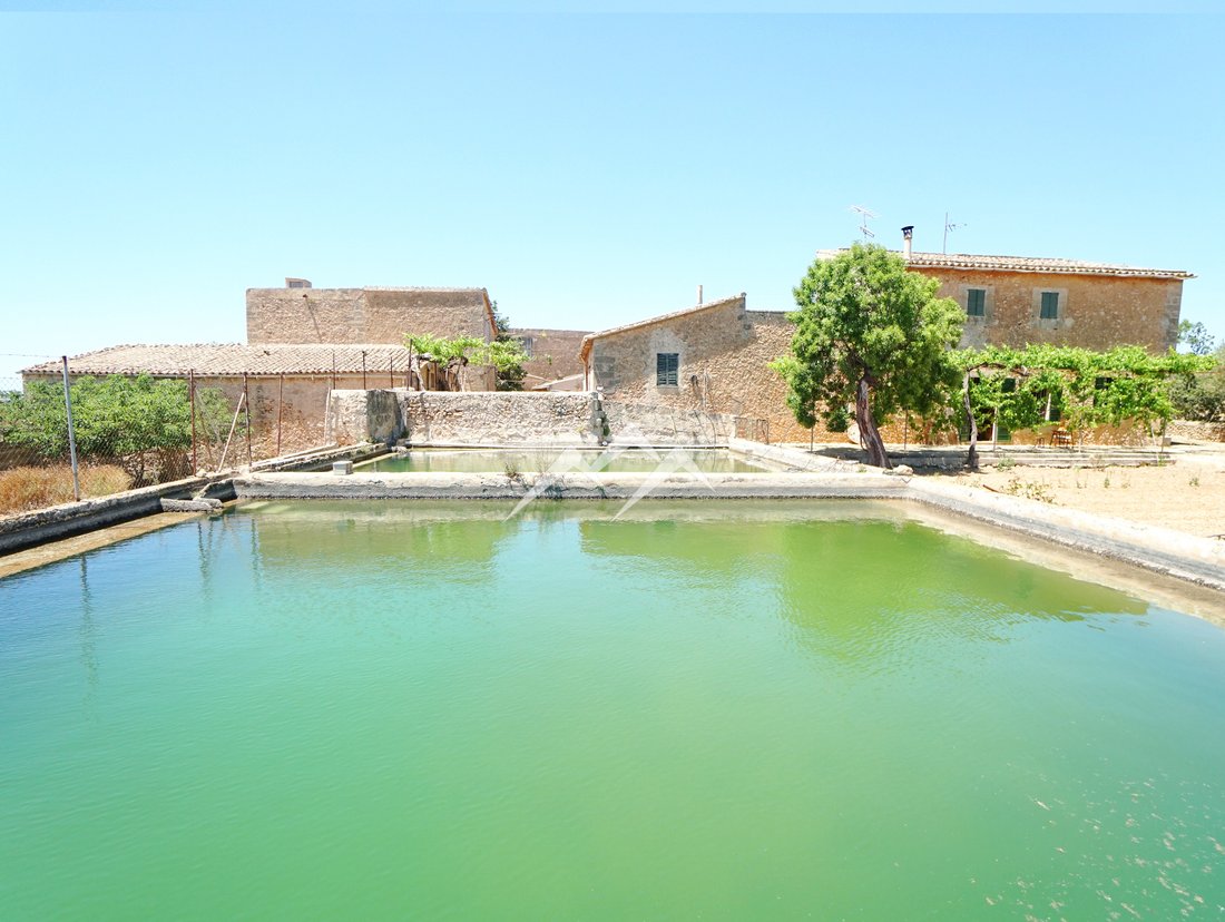 Finca in Palma, Balearic Islands, Spain 4 - 11707367