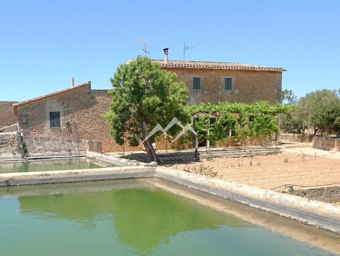 Finca in Palma, Balearic Islands, Spain 1 - 11707367