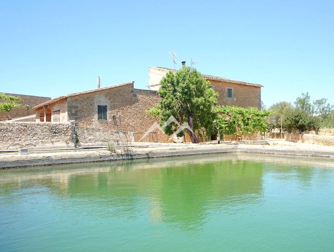Finca in Palma, Balearic Islands, Spain 3 - 11707367