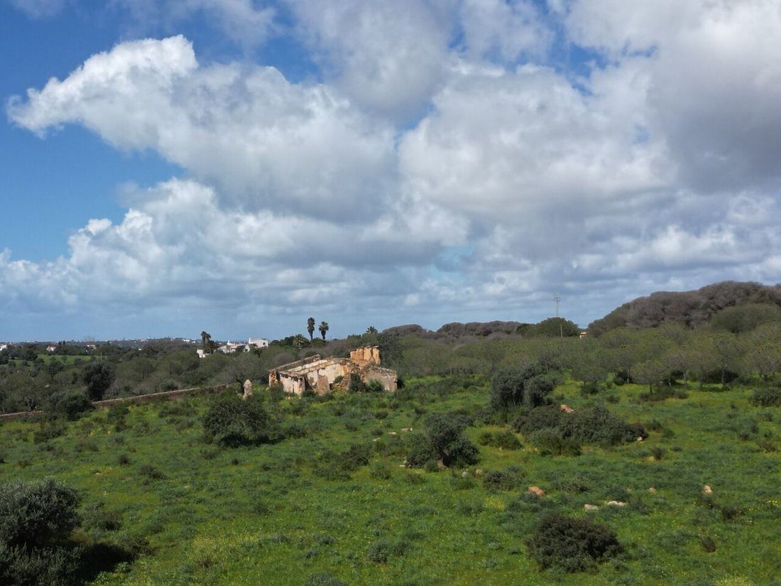Land in Armacao de Pera, Algarve, Portugal 5 - 14116034