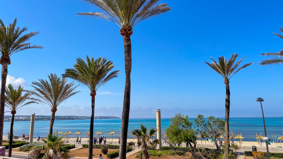 Apartment in Playa de Palma, Palma, Balearic Islands 1 - 14114562