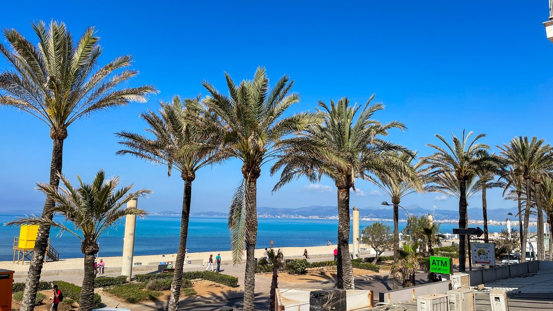 Apartment in Playa de Palma, Palma, Balearic Islands 2 - 14114562