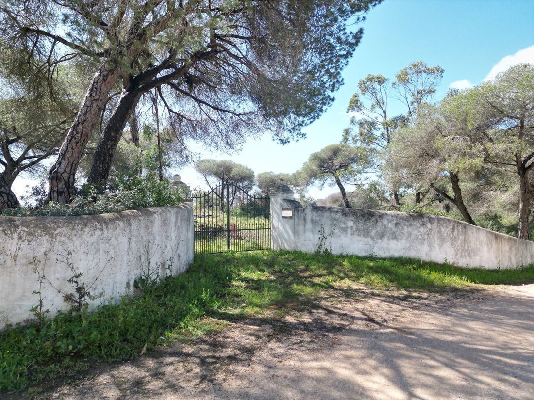 Land in Armacao de Pera, Algarve, Portugal 1 - 14116034