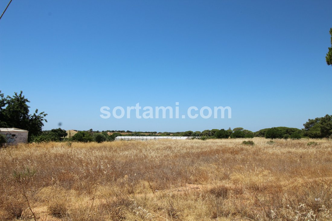 Land in Montenegro, Algarve, Portugal 1 - 14118746