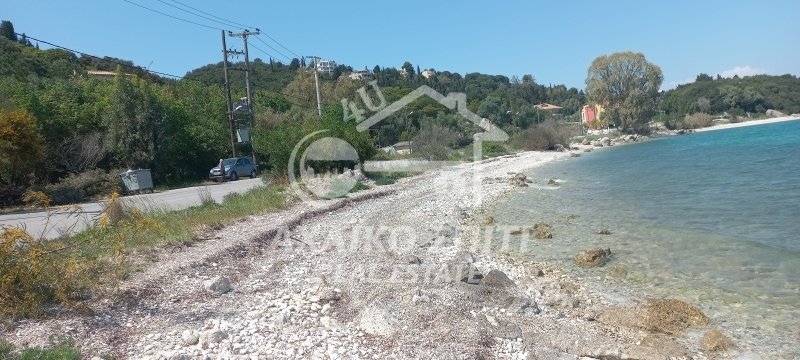 Land in Katounis, Peloponnese, Western Greece and the Ionian, Greece 2 - 14051076
