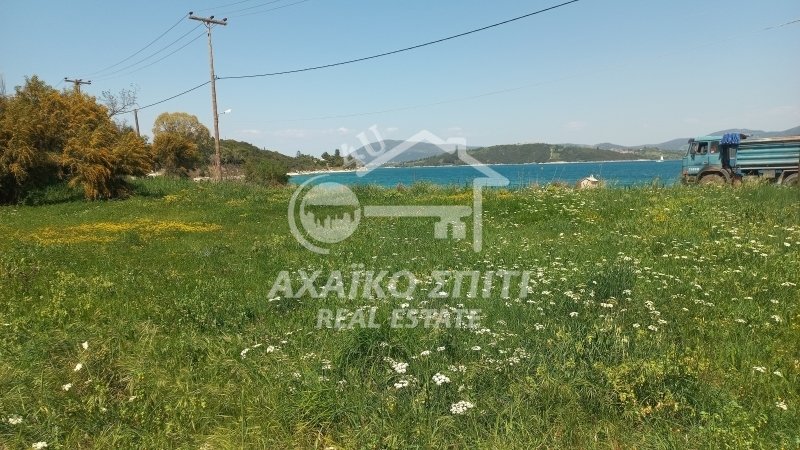 Land in Katounis, Peloponnese, Western Greece and the Ionian, Greece 1 - 14051076