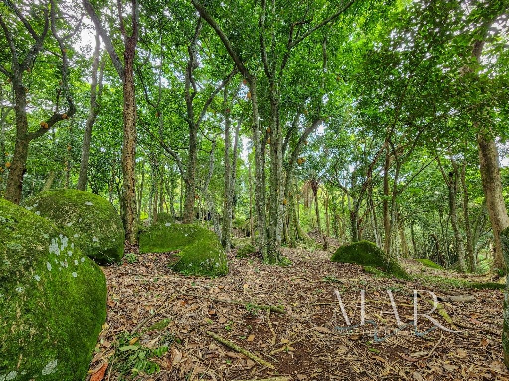 Land in Ilhabela, State of São Paulo, Brazil 1 - 13955473