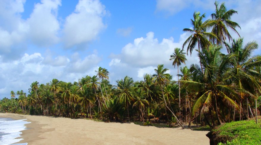 Diego, Colón Province, Panama 4 - 14122636