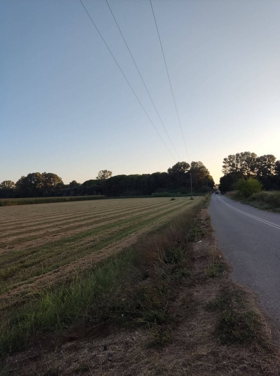 Land in Amaliada, Peloponnese, Western Greece and the Ionian, Greece 2 - 14121434