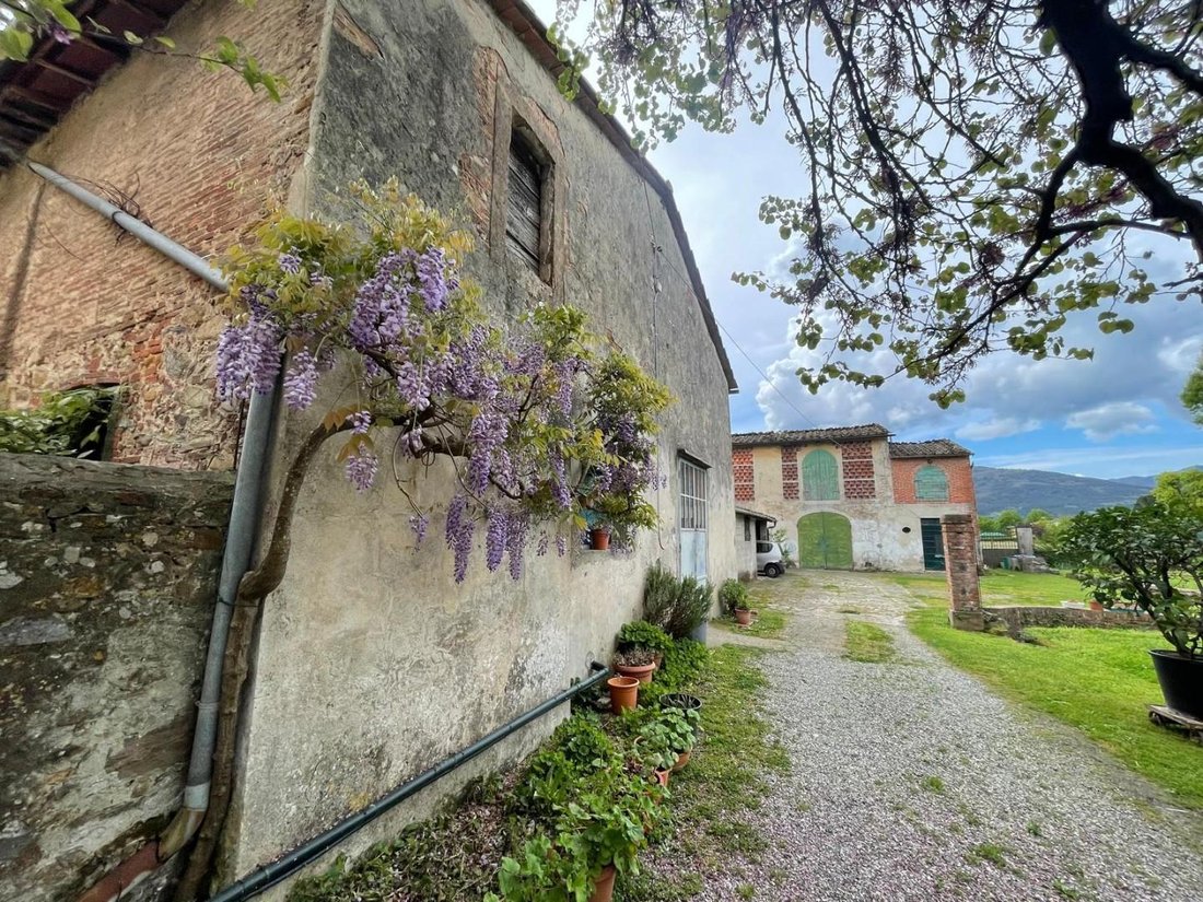 Villa in Pieve San Paolo - Santa Margherita, Capannori, Tuscany 5 - 14123149