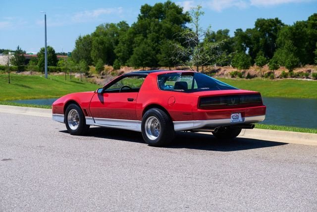 Pontiac Trans Am in Calverton, United States 3 - 14124972