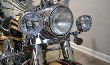 2003 Harley-Davidson FLHRSEI Screamin' Egl Rd King