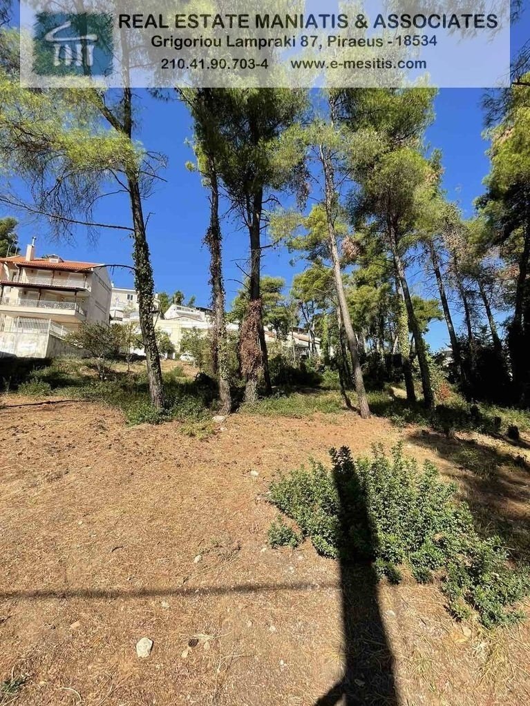 Land in Dionysos, Attica, Greece 1 - 14128512