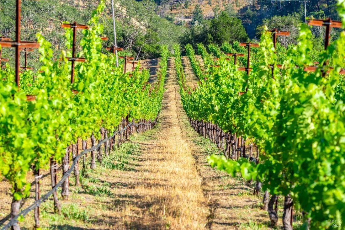 House in Santa Rosa, California, United States 3 - 14122697