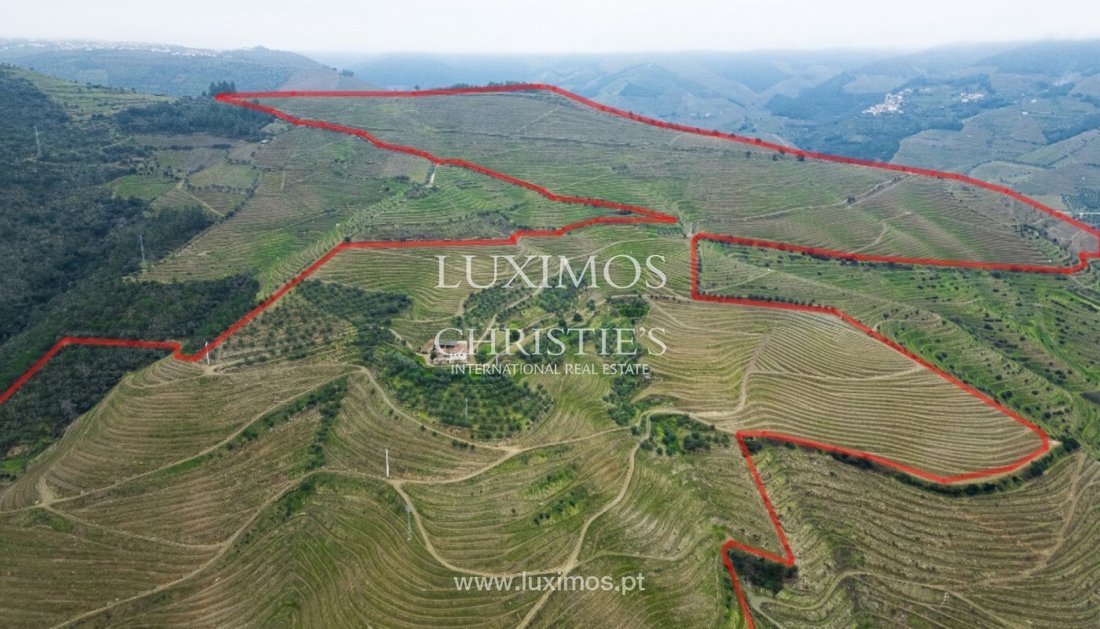 Tenuta a Guiães, Distretto di Vila Real, Portogallo 1 - 14120588