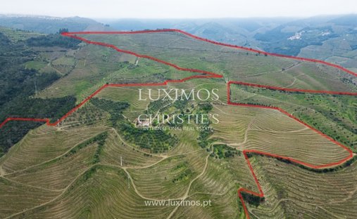 Tenuta a Guiães, Distretto di Vila Real, Portogallo 1