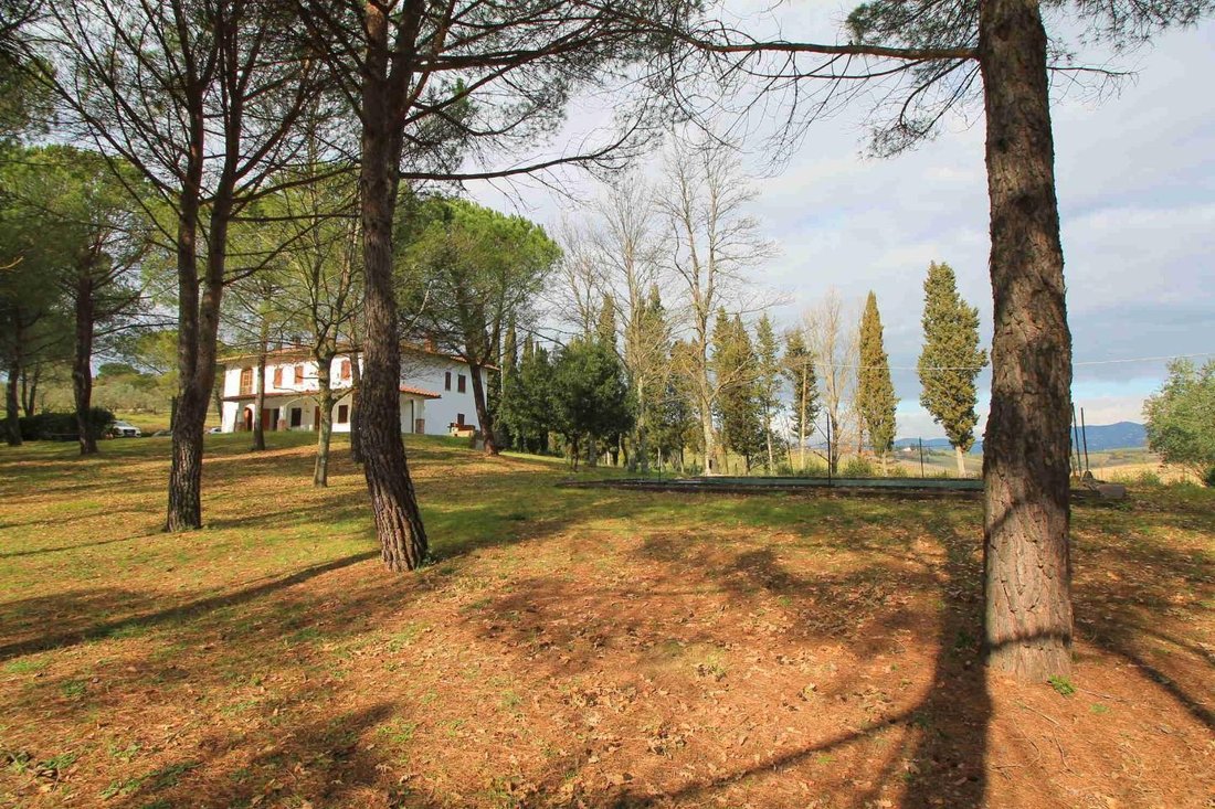 Farm Ranch in Center, Vinci, Tuscany 5 - 14120739