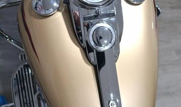 2003 Harley-Davidson FLHRSEI Screamin' Egl Rd King