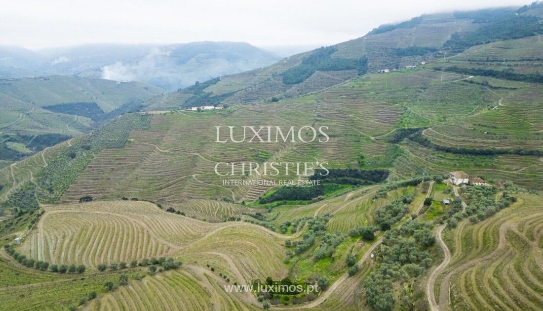 Tenuta a Guiães, Distretto di Vila Real, Portogallo 4 - 14120588