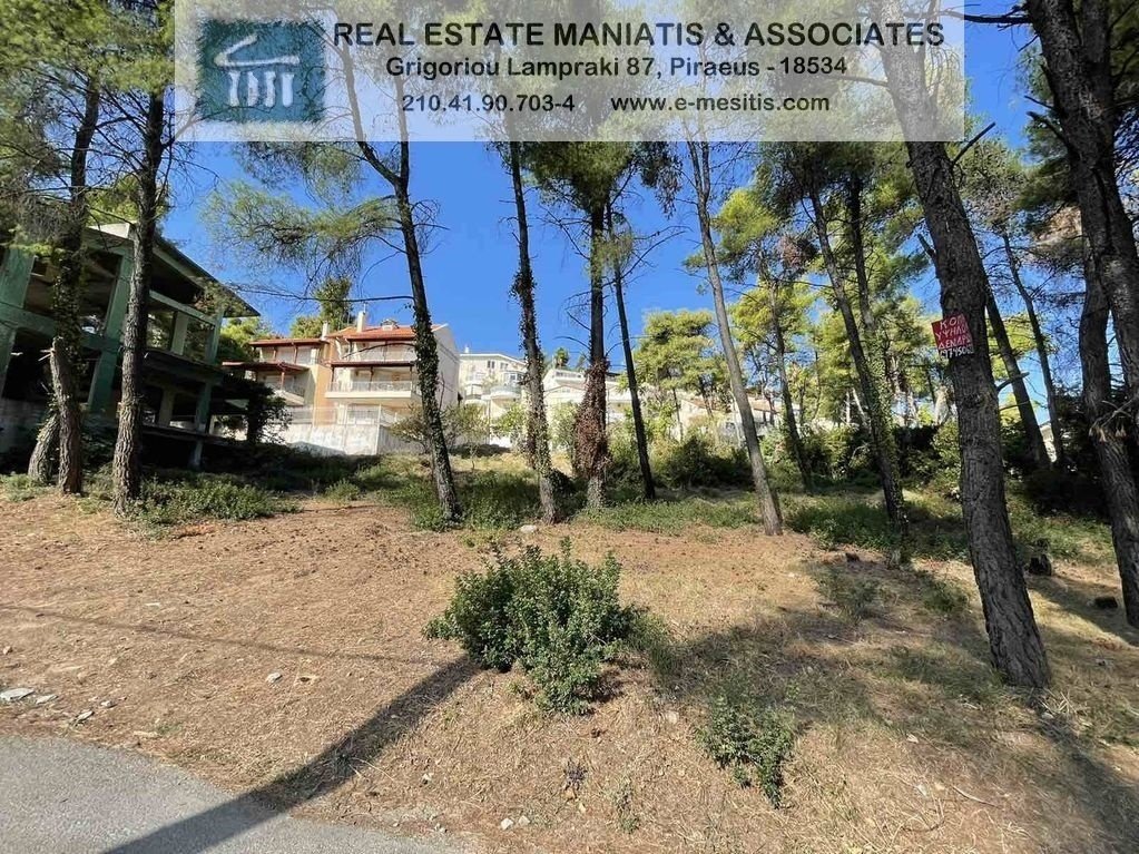 Land in Dionysos, Attica, Greece 4 - 14128512