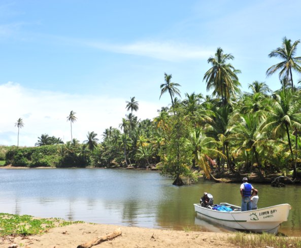 Diego, Colón Province, Panama 2 - 14122636