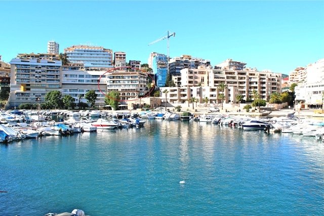 Apartment in Palma, Balearic Islands, Spain 3 - 14120852
