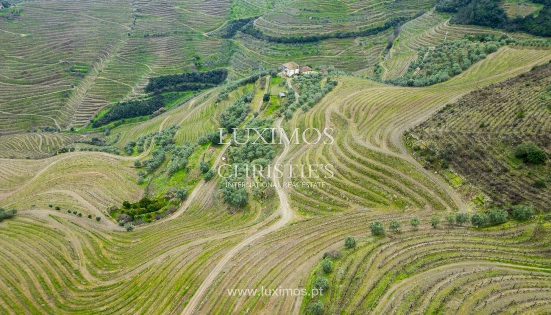 Tenuta a Guiães, Distretto di Vila Real, Portogallo 5 - 14120588