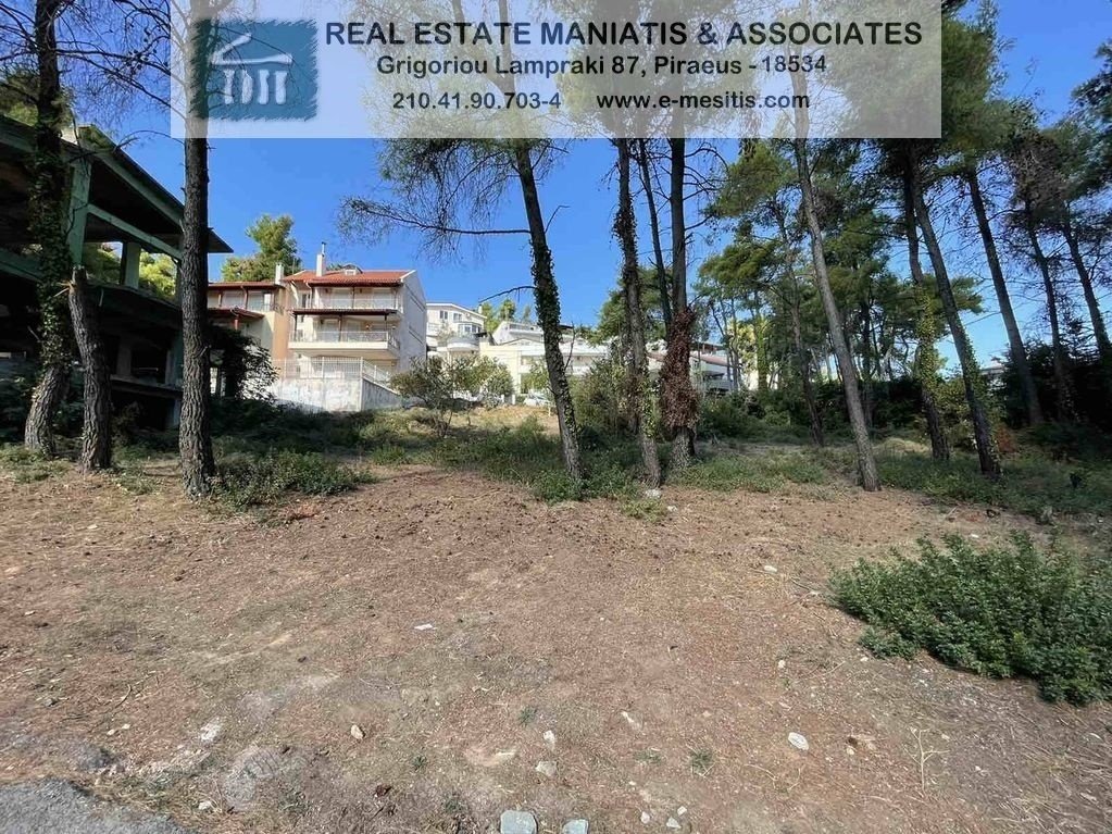 Land in Dionysos, Attica, Greece 3 - 14128512