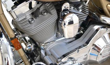 2003 Harley-Davidson FLHRSEI Screamin' Egl Rd King