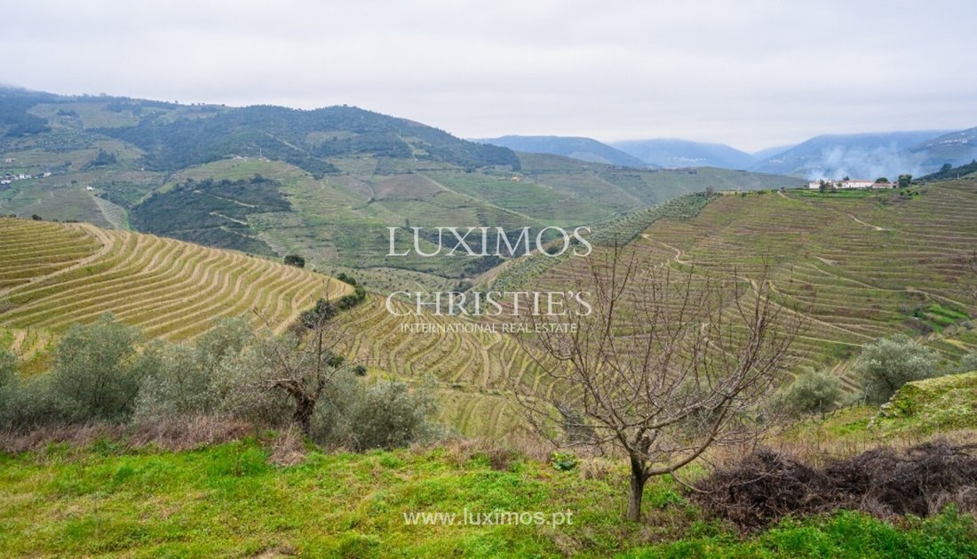 Tenuta a Guiães, Distretto di Vila Real, Portogallo 2 - 14120588