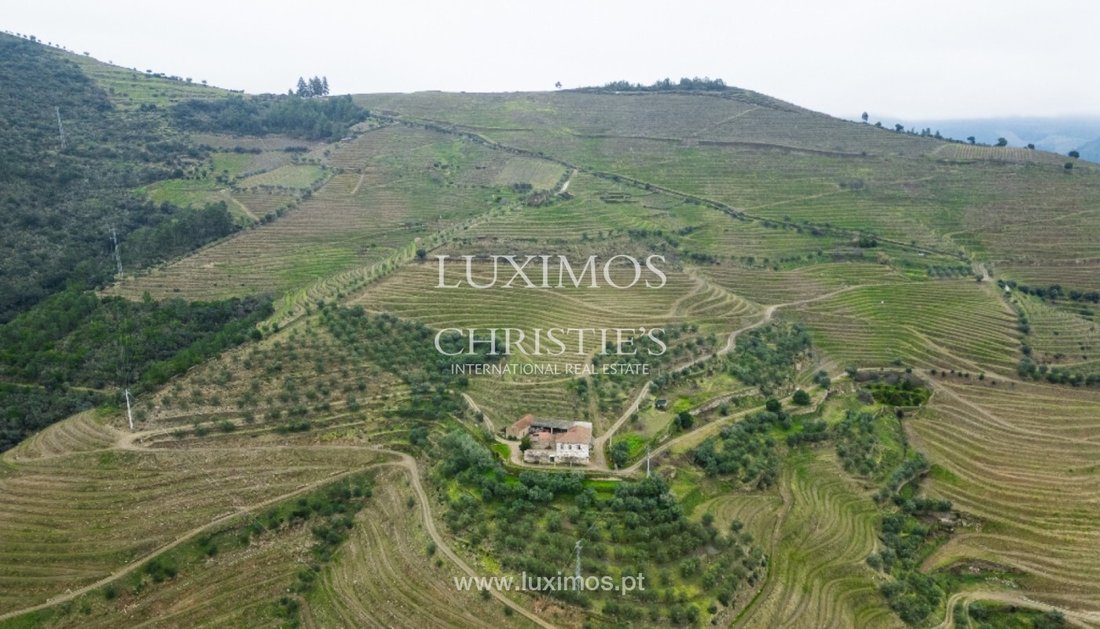 Tenuta a Guiães, Distretto di Vila Real, Portogallo 3 - 14120588