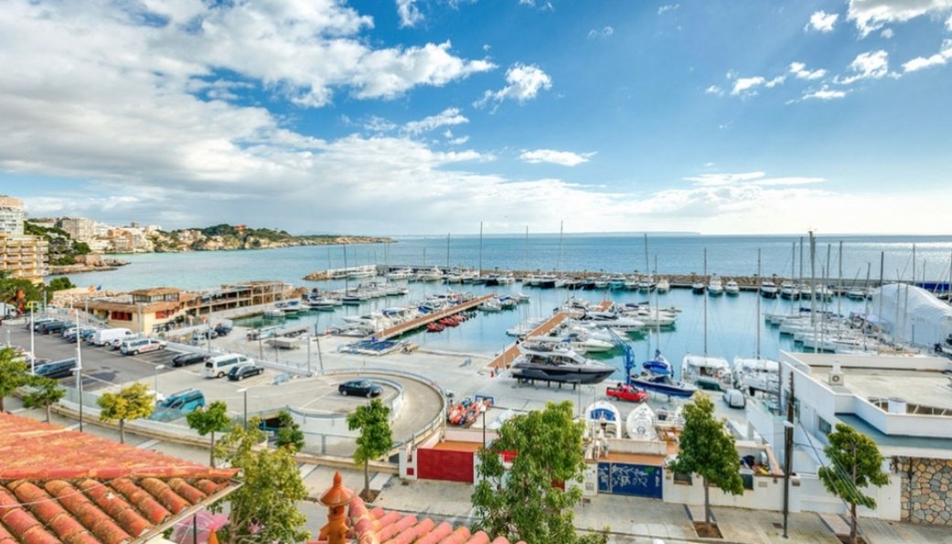 Villa in Palma, Balearic Islands, Spain 1 - 14120847