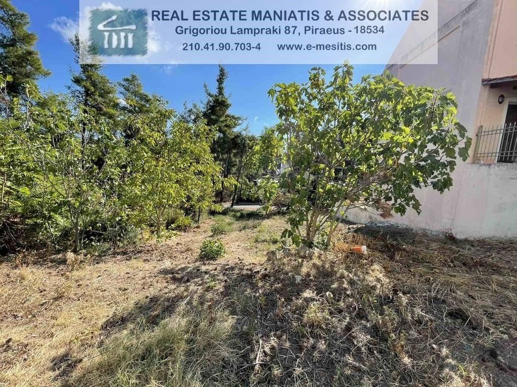 Land in Dionysos, Attica, Greece 5 - 14128512