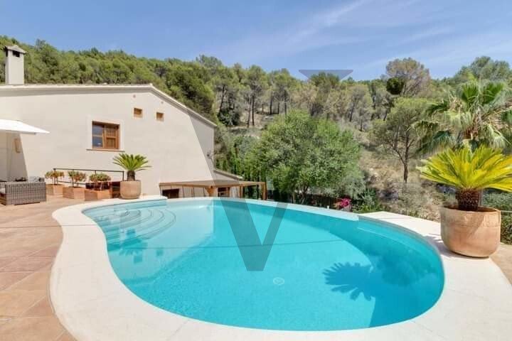 Villa in Calvia, Balearic Islands, Spain 2 - 13047732
