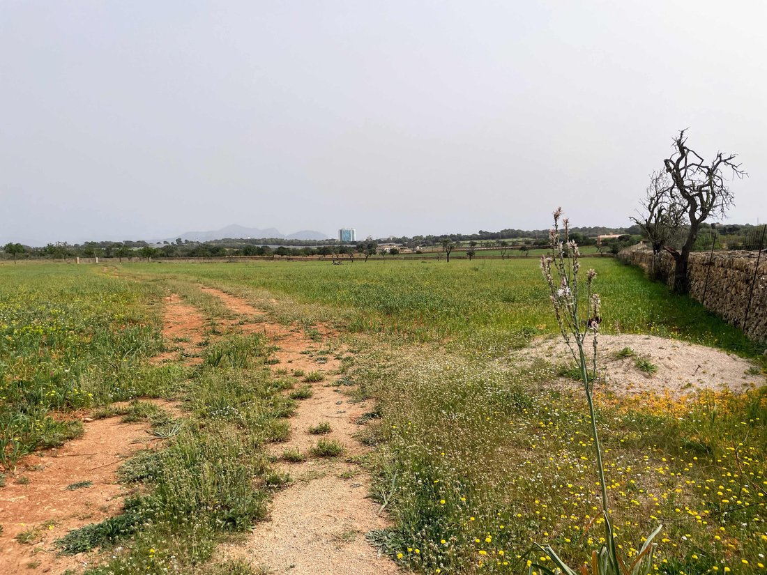 Land in Santa Margalida, Balearic Islands, Spain 2 - 14135288