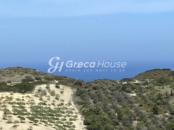 Land in Kymi - Aliveri Anna, Thessaly and Central Greece, Greece 2 - 13105884