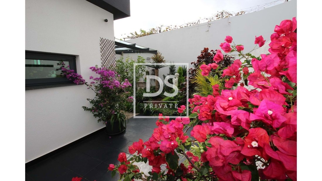 Villa in Gaula, Madeira, Portugal 5 - 14135563