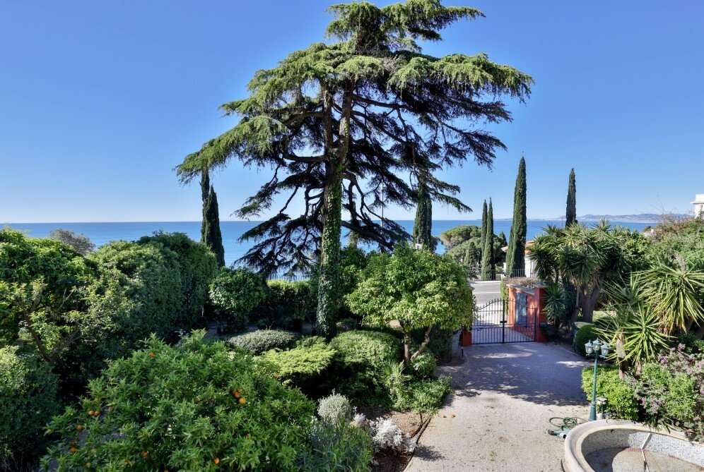 Apartment in Mont Boron, Nice, Provence-Alpes-Côte d'Azur 1 - 14136268
