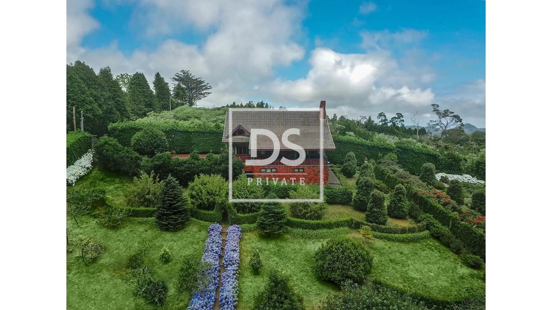 Villa in Santo Antonio da Serra, Madeira, Portugal 5 - 14135430